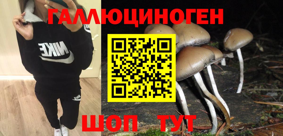 ТГК Зеленогорск