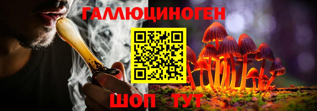 Зеленогорск  Галлюциногенные грибы Psilocybe  Вход с VPN 